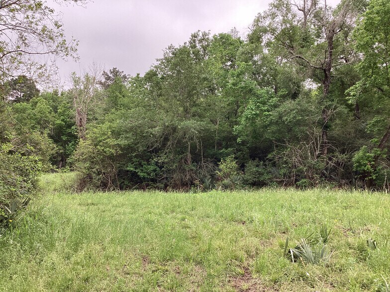 More Photos Of 0 County Road 4876, Dayton Land For Sale