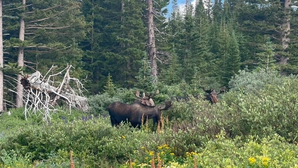 Primary Photo Of 1124 State Highway 11, Laramie Specialty For Sale