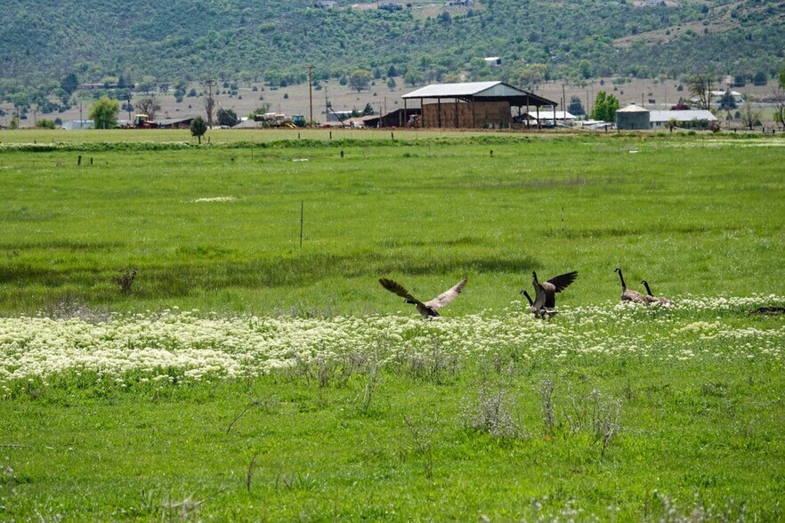 More Photos Of 1834 E. State 3 Hwy, Montague Land For Sale