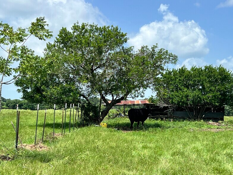More Photos Of 20573 Fontenot Ln, Hempstead Land For Sale