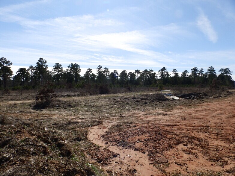 More Photos Of 20175 HWY 155 S, Flint Land For Sale