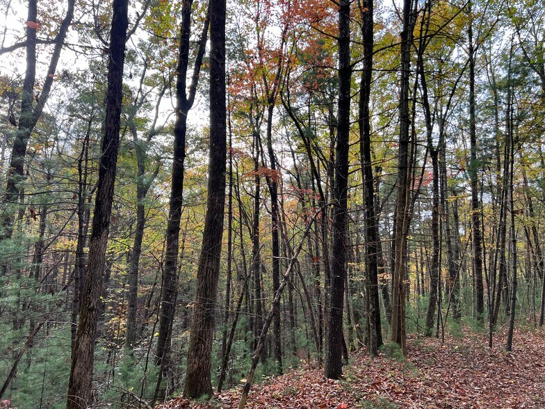 More Photos Of Whitecliff Drive, Ellijay Land For Sale