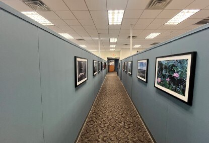 More Photos Of 325 W Main St, Babylon Office For Sale