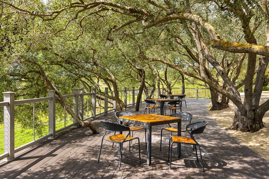 More Photos Of 2750 Las Amigas Rd, Napa Winery Vineyard For Sale