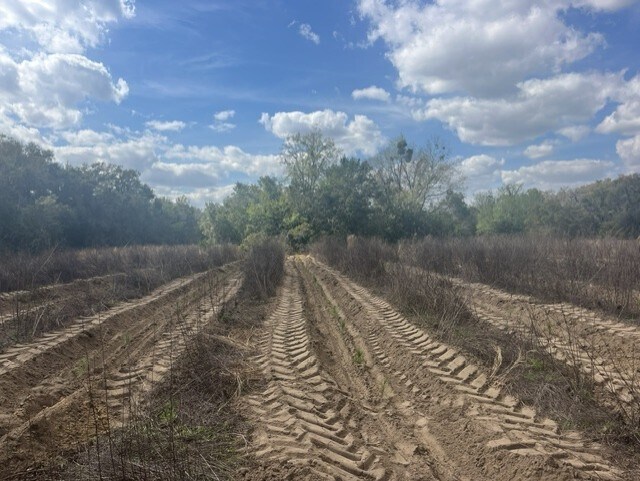 More Photos Of SE 132nd St, Summerfield Land For Sale