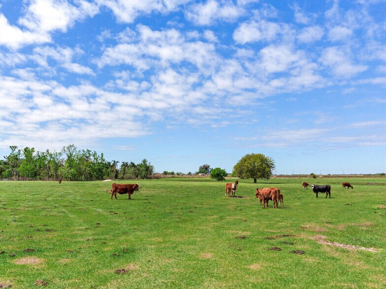 More Photos Of 15721 Colding Loop, Wimauma Land For Sale