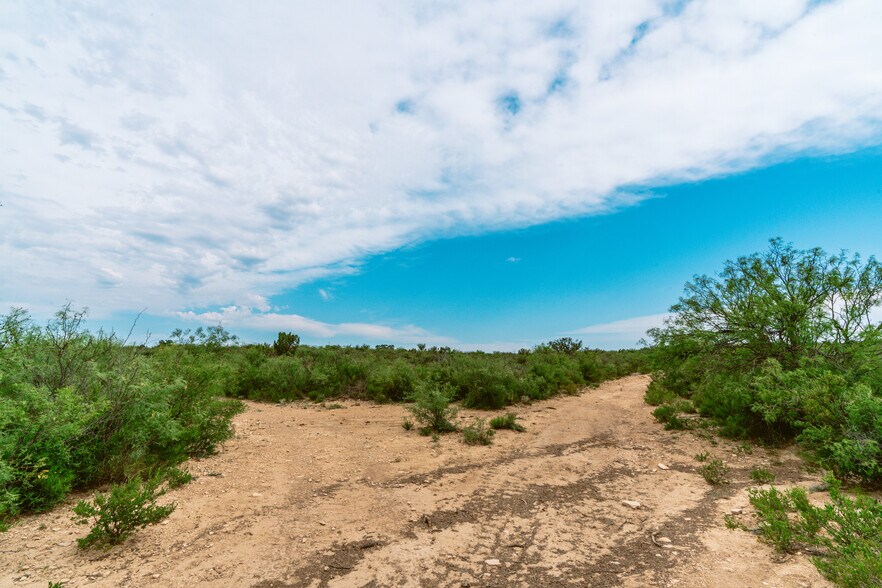 More Photos Of County Road 1865, Langtry Land For Sale