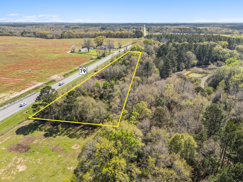 Primary Photo Of 1248 SR 79, Bonifay Land For Sale