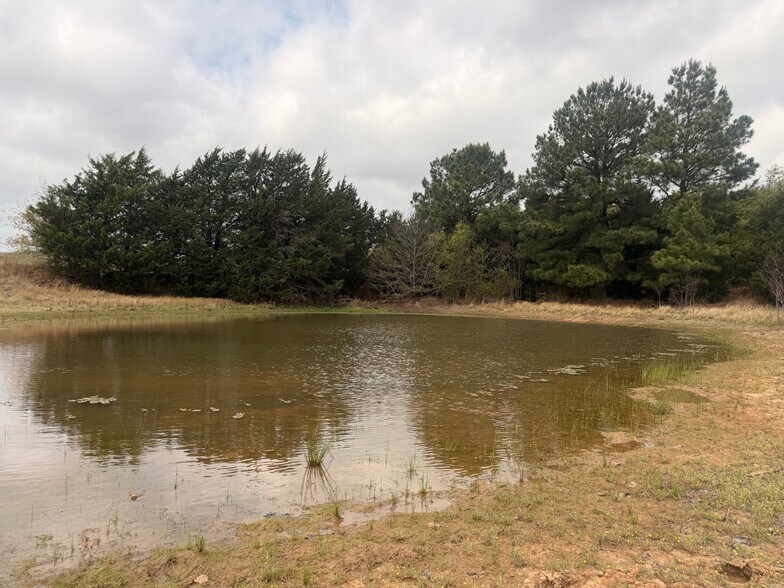 More Photos Of 2548 County Road 2690, Alvord Land For Sale
