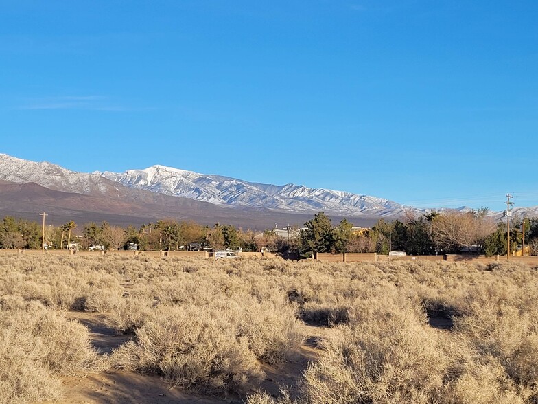 Primary Photo Of 6180 Alpaca ave, Pahrump Land For Sale