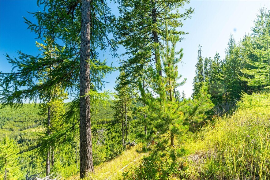 More Photos Of Nhn Logan Creek Road, Kila Land For Sale