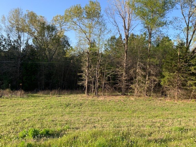 Primary Photo Of 15509 E State Highway 31, Tyler Land For Sale