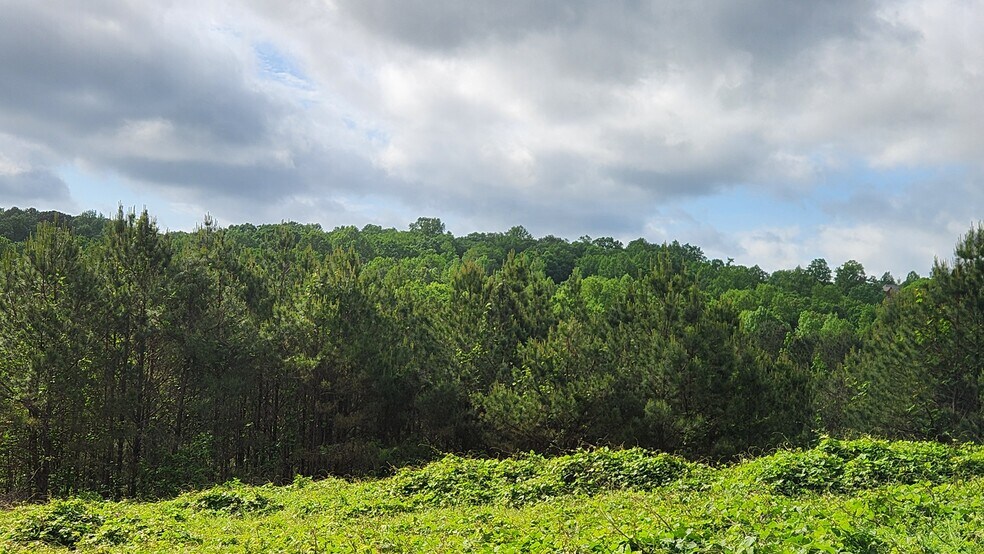 More Photos Of Near 5370 Deerfoot Parkway Pky, Trussville Land For Sale