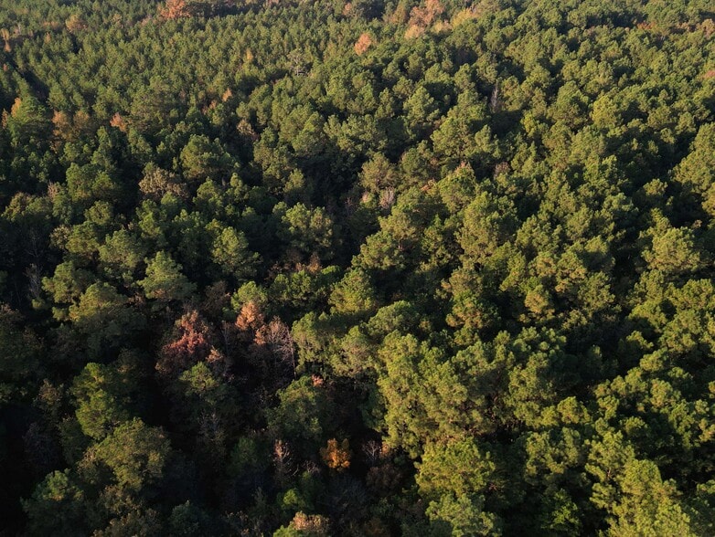 More Photos Of TBD Miller County 32, Doddridge Land For Sale