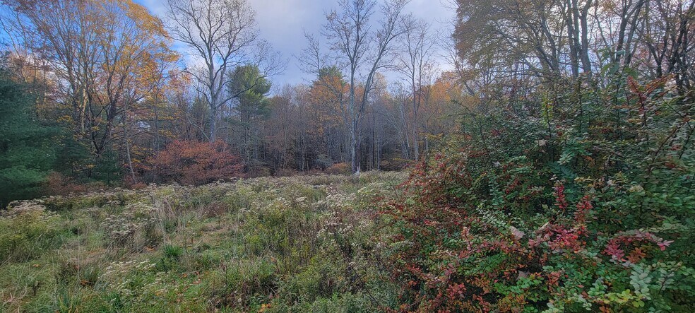 More Photos Of 1195 State Route 17B, Bethel Land For Sale