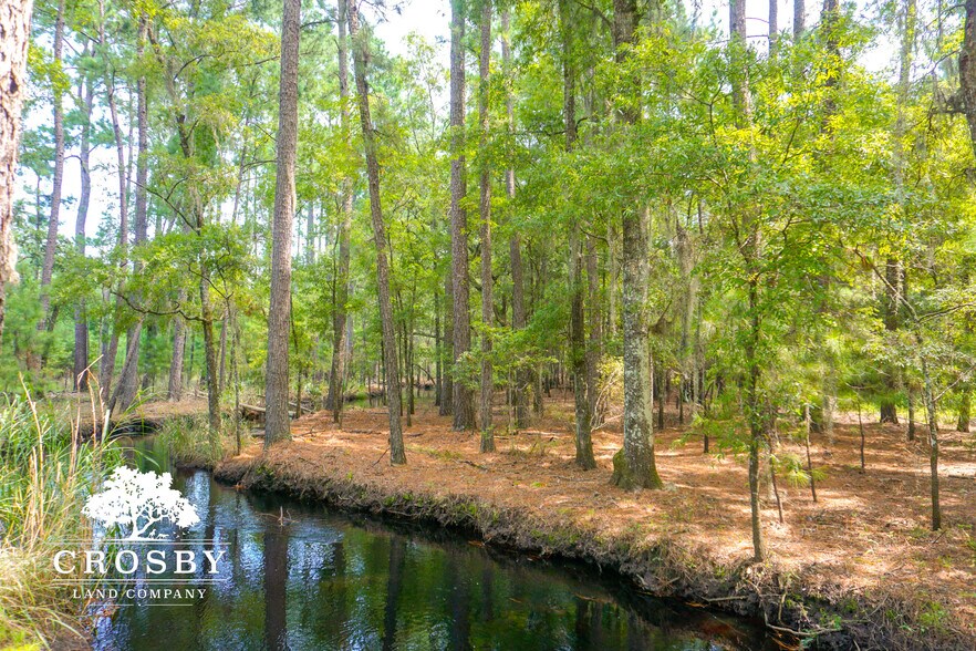 More Photos Of 3009 Lowcountry Drive, Ridgeland Land For Sale