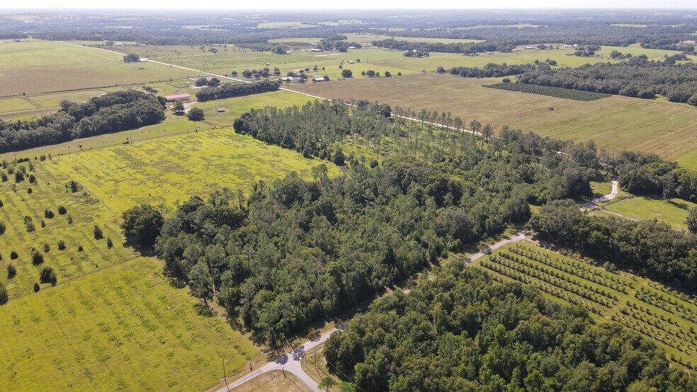 More Photos Of Amberlea Rd & Spring Branch Rd., Dade City Land For Sale