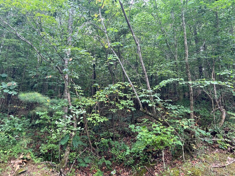 More Photos Of Pinyan, Ranger Land For Sale