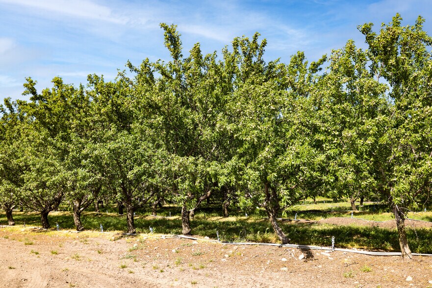 More Photos Of South Quinley Ave @ West Dickenson Ferry Rd, Merced Land For Sale