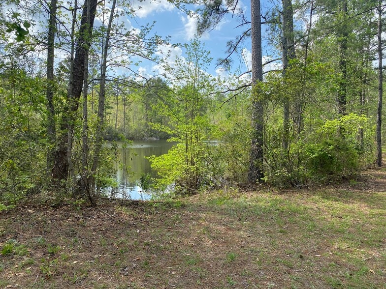 More Photos Of County Road 270, Chattahoochee Land For Sale