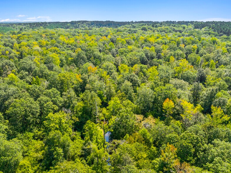 More Photos Of 7471 Highway 155, Saline Land For Sale