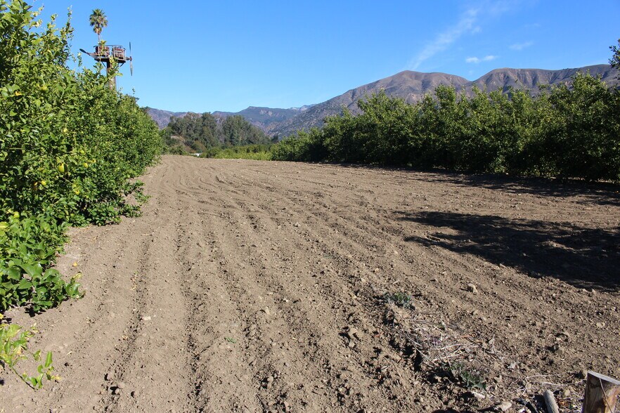 More Photos Of 1100 Cliff Ave, Fillmore Land For Sale