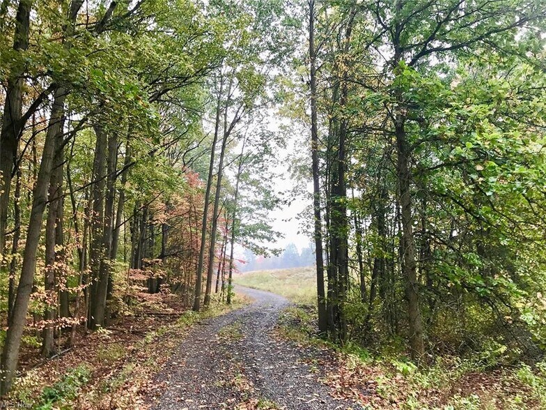 More Photos Of Bryant & SR 82 rd, Garrettsville Land For Sale