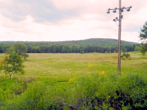 More Photos Of 1744 Route 611, Mount Pocono Land For Sale