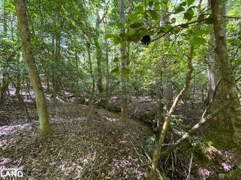 More Photos Of 0 Gibbs Road, Wellford Land For Sale