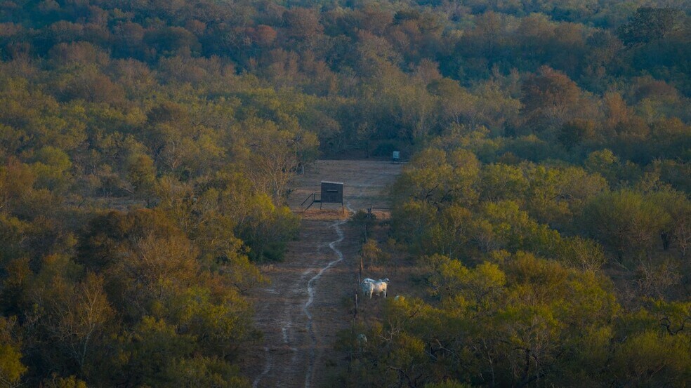 More Photos Of 879 County Road 421, Gonzales Land For Sale