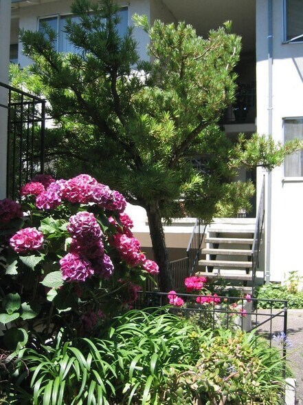 More Photos Of 837 Cowper St, Palo Alto Apartments For Sale