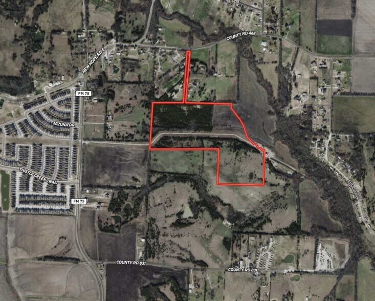 Primary Photo Of FM 75 @ New Hope Rd E, Princeton Land For Sale
