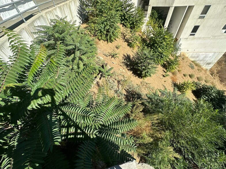 More Photos Of Hanscom Drive Dr, South Pasadena Land For Sale