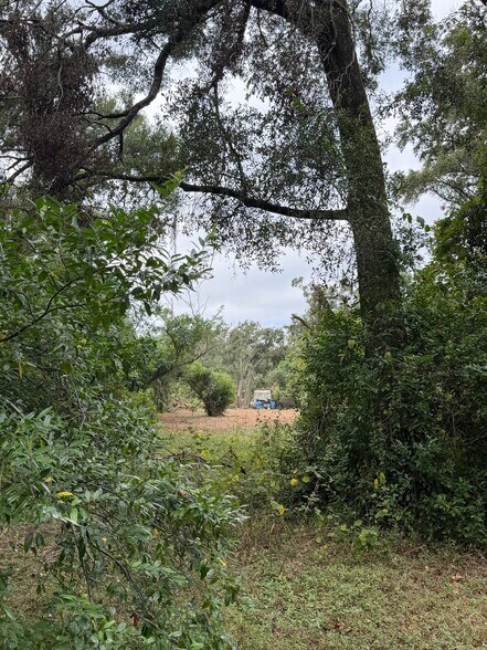 More Photos Of 2404 Parsons Ave, Seffner Land For Sale