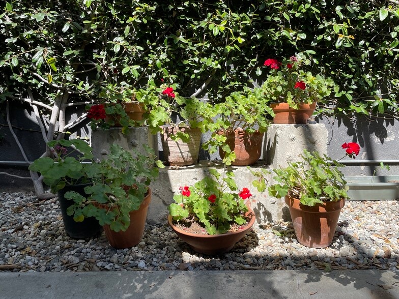 More Photos Of 2886-2888 E Walnut St, Pasadena Service For Sale