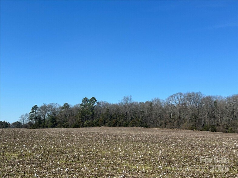 Primary Photo Of Intersection Falls Rd and Bridgewater rd, Rock Hill Land For Sale