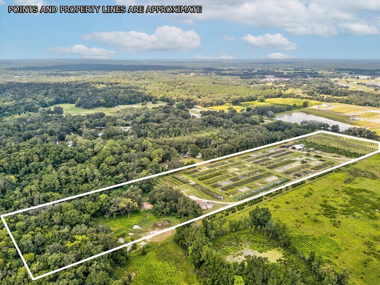 More Photos Of 2816 Crystal Springs Rd, Zephyrhills Winery Vineyard For Sale