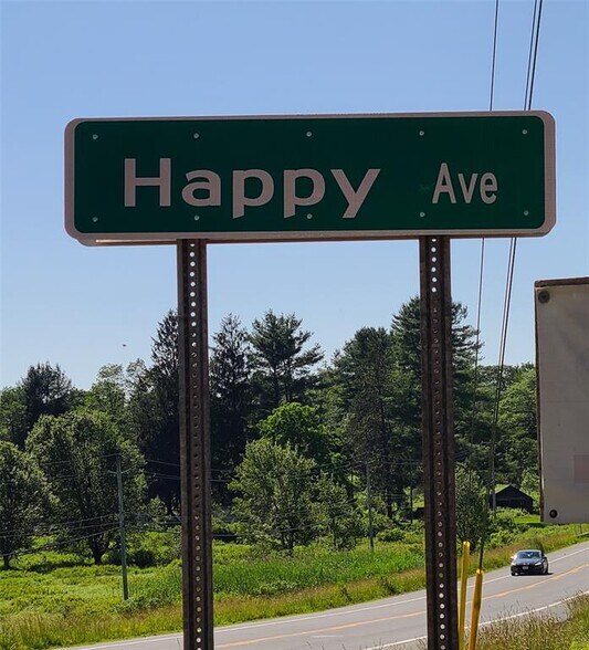 More Photos Of 282 Shore Rd, Swan Lake Land For Sale