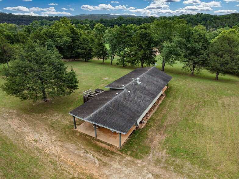 More Photos Of 29668 Farm Road 1268, Golden Land For Sale