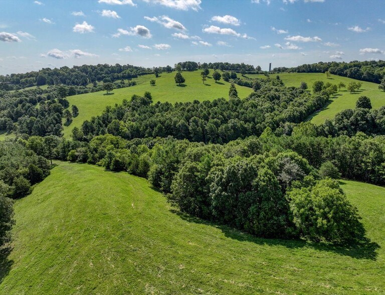 More Photos Of Hwy 65 and Old Hwy US 65, Omaha Land For Sale