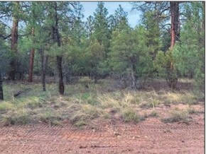 More Photos Of 4900 Arizona 260, Lakeside Land For Sale