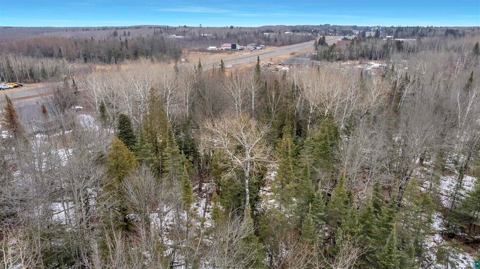 Primary Photo Of 000 Miller Trunk Hwy, Hermantown Land For Sale