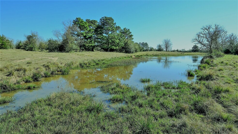 More Photos Of 26266 Fields Store Rd., Waller Land For Sale