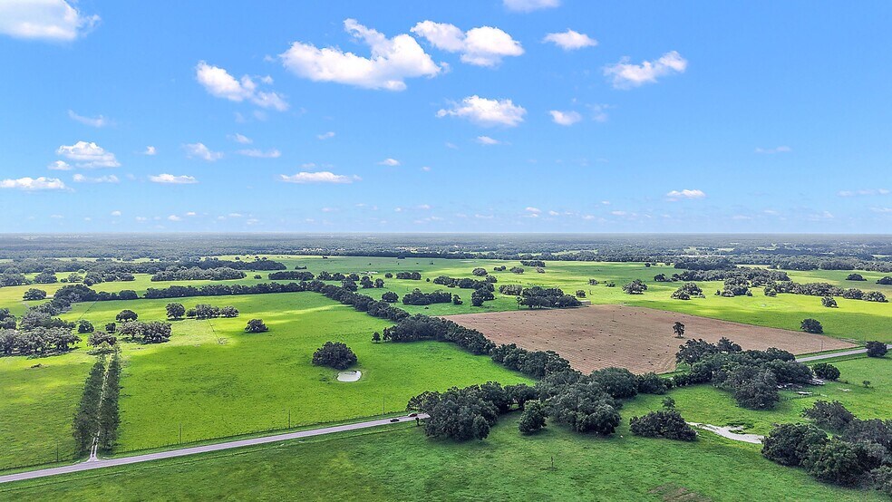 More Photos Of 8919 State Road 471, Webster Land For Sale