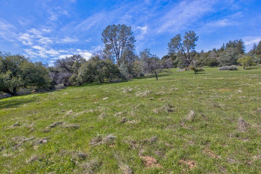 More Photos Of 18800 Charleston Rd, Volcano Land For Sale