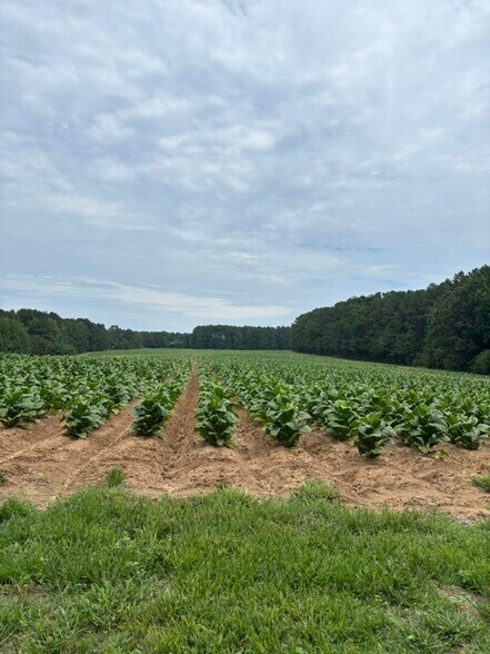 More Photos Of 2723 Mays Crossroads Rd, Youngsville Land For Sale