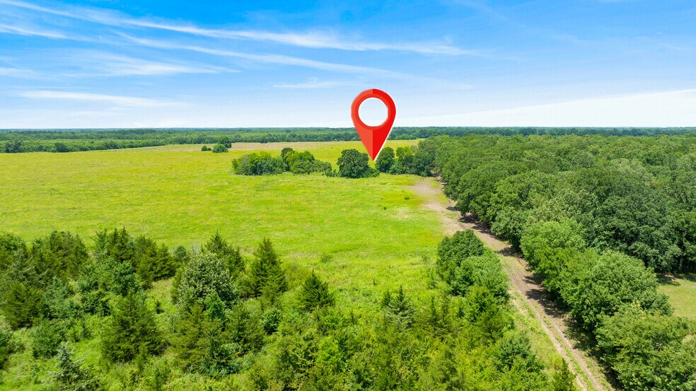 More Photos Of 449 County Road 1357, Clarksville Land For Sale