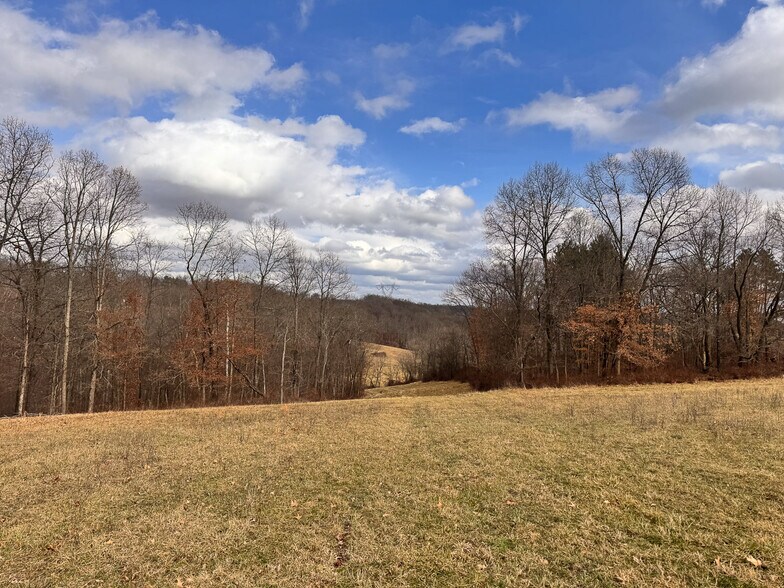 More Photos Of 15 GLECOE Rd, Dellroy Land For Sale