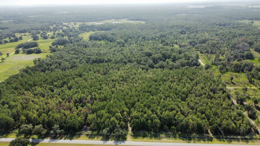 More Photos Of NE 353 Hwy, Cross City Land For Sale