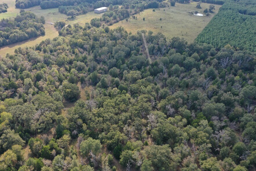 More Photos Of Country Rd 2608, Tennessee Colony Land For Sale